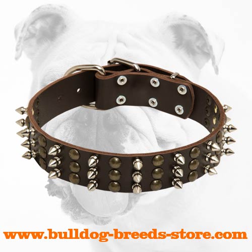Royal Leather Bulldog Collar with Hand-Set Spikes and Studs