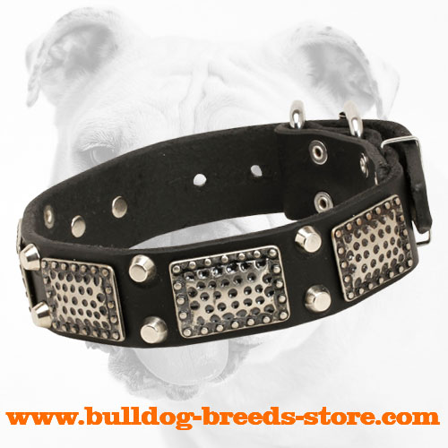 Hand-Decorated Leather Bulldog Collar with Old Nickel Plates and Nickel Pyramids