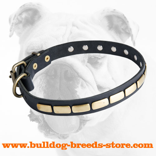 Fashionable Leather Bulldog Collar with Plates