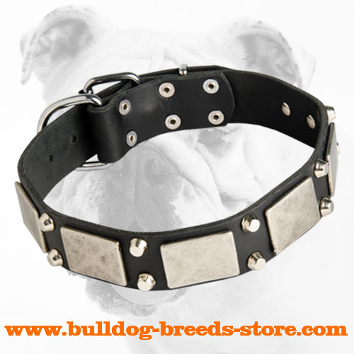 War Decorated Leather Bulldog Collar