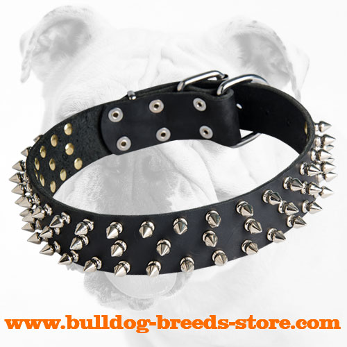 Fancy Leather Bulldog Collar with Spikes for Training