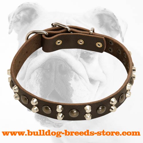Sophisticated Leather Bulldog Collar with Studs