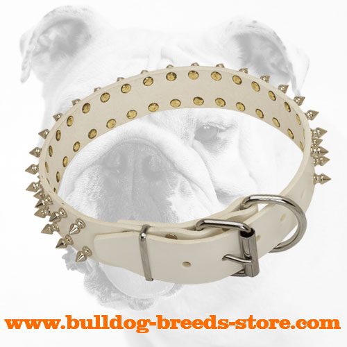 Elegant White Leather Bulldog Collar with 2 Rows of Nickel Spikes