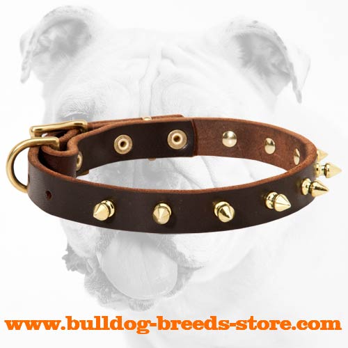 Adjustable Leather Bulldog Collar with Shiny Brass Spikes