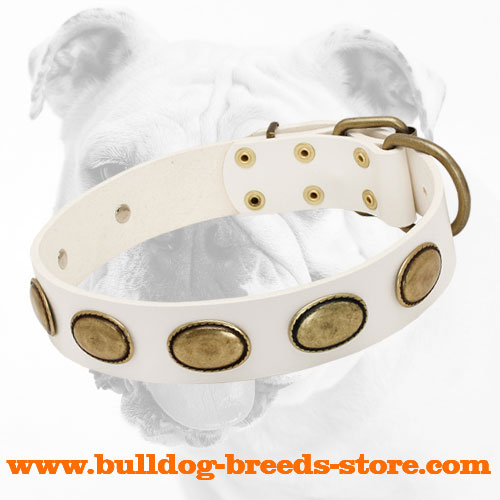 Reliable White Leather Bulldog Collar with Brass Vintage Plates
