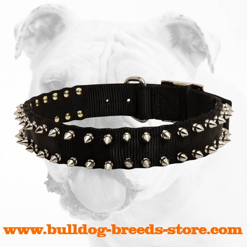 Black Spiked Nylon Bulldog Collar for Training