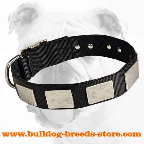 Reliable Nylon Bulldog Collar With Vintage Plates