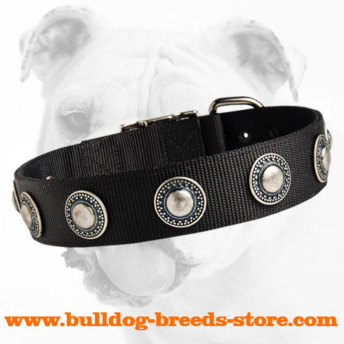 Fashionable Wide Nylon Bulldog Collar with Conchos