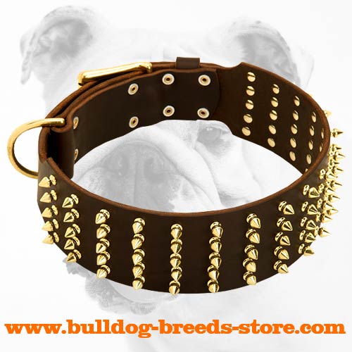 Fabulous Wide Leather Bulldog Collar with Brass Spikes
