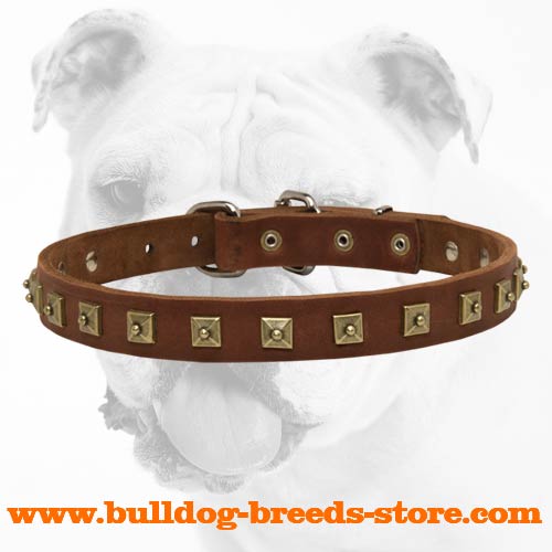 Brilliant Walking Studded Leather Bulldog Collar