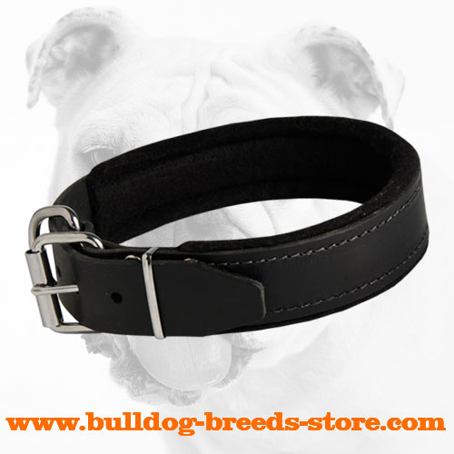 Luxury Leather Bulldog Collar with Soft Padding