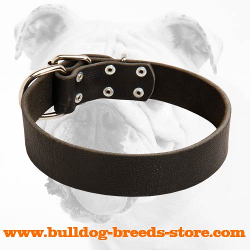 Leather Wide Bulldog Collar for Walking and Training