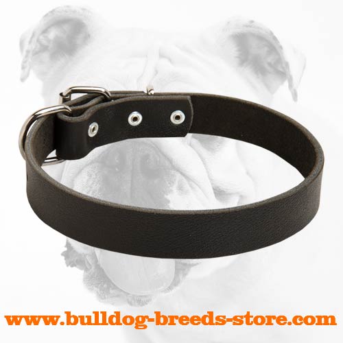 Strong Leather Bulldog Collar for Walking and Training
