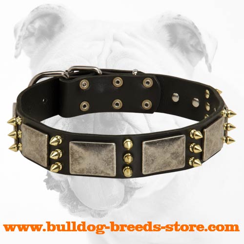 Gorgeous War Leather Bulldog Collar with Massive Plates and Spikes