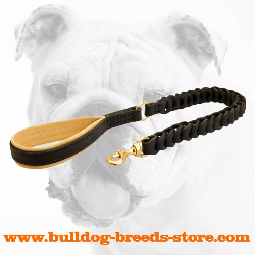 Handcrafted Leather Bulldog Leash with a Soft Padded Handle