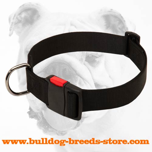 Adjustable Nylon Dog Collar with Quick Release Buckle for Bulldogs