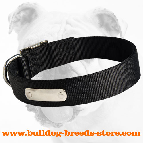 Excellent Walking and Training Nylon Bulldog Collar