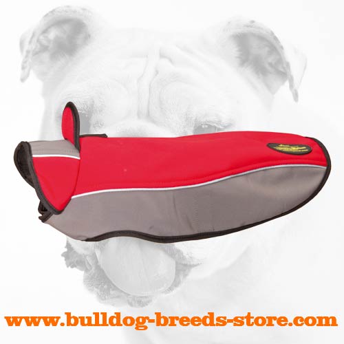 Extraordinary Warm High Quality Winter Nylon Bulldog Coat