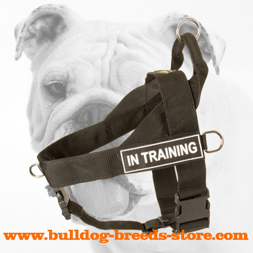 Lightweight Nylon Bulldog Harness for Pulling Activities