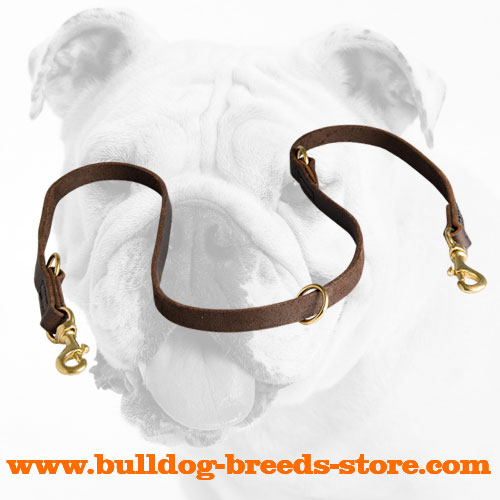 Extra Strong Multifunctional Leather Bulldog Leash