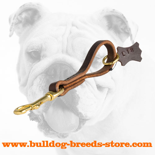 Fast Grab Leather Bulldog Leash