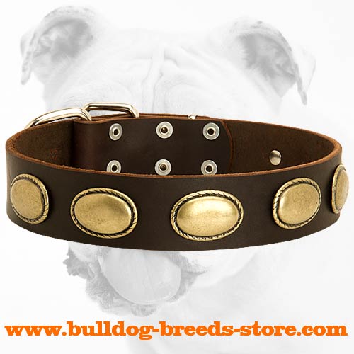 Exclusive Leather Bulldog Collar with Vintage Brass Oval Plates - Click Image to Close
