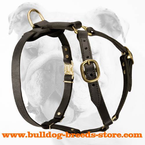 Luxury Handcrafted Leather Dog Harness For Bulldog