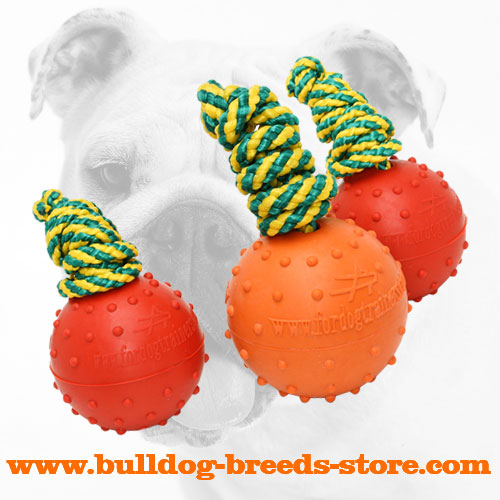 Rubber Bulldog Water Ball on a Strong String - Click Image to Close