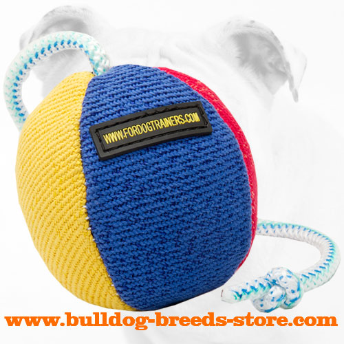 French Linen Bite Bulldog Ball for Training and Playing