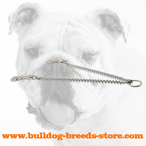 Chrome Plated Steel Bulldog Coupler