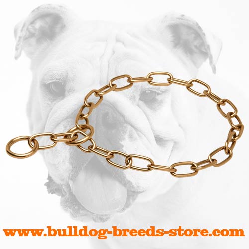 Durable Curogan Bulldog Choke Collar for Training - Click Image to Close