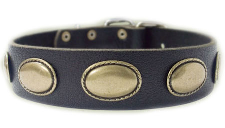 Designer Dog Collar - Exclusive Leather  Collar for Pitbull   C103