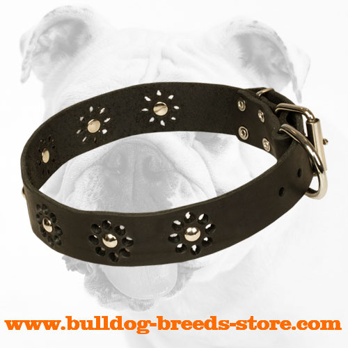 Superior Designed Leather Bulldog Collar with Trendy Decorations
