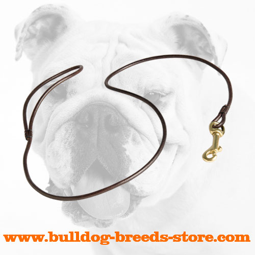 Round Leather Bulldog Show Leash