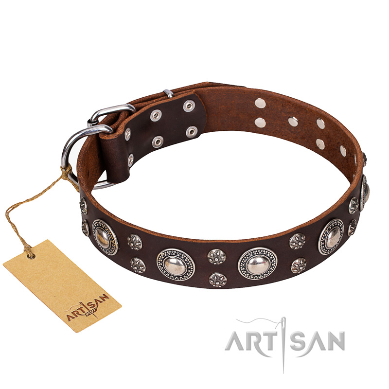 'Age of Beauty' FDT Artisan Incredible Studded Brown Leather Bulldog Collar