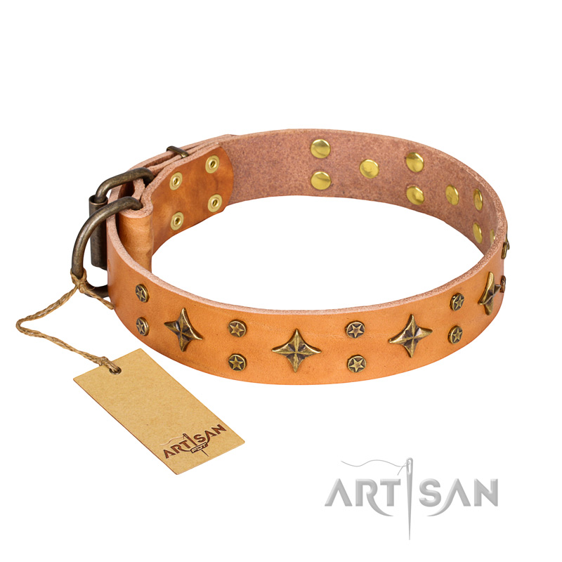 'Top-Flight' FDT Artisan Adorned Tan Leather Bulldog Collar