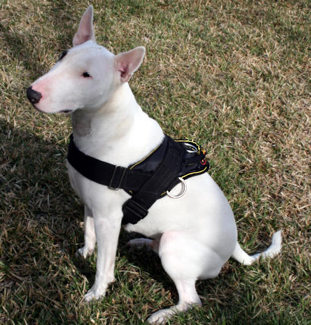 Nylon walking dog harness for tracking/pulling with handle - Click Image to Close