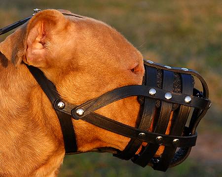 Everyday Lightweight Leather BullyPit Muzzle with Perfect Air Flow