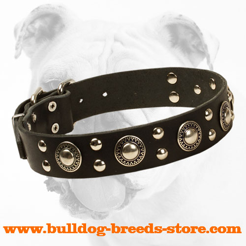 Hand-Decorated Stylish Leather Bulldog Collar