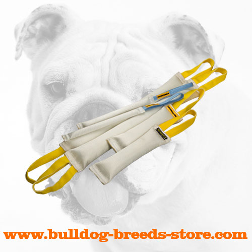 Fire Hose Bulldog Bite Tugs for Effective Training