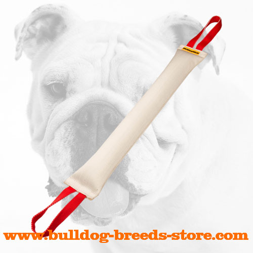Huge Fire Hose Bulldog Bite Tug with two Nylon Handles - Click Image to Close