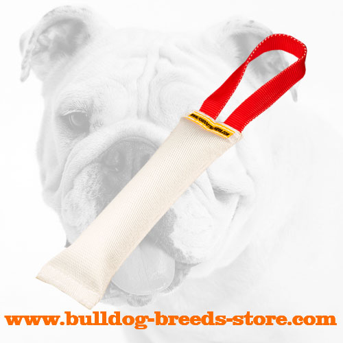 Hand-Made Fire Hose Bulldog Bite Tug With Handle