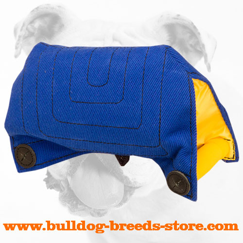 French Linen Bulldog Bite Builder for Training