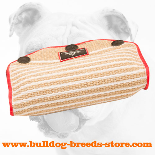 Puppy Jute Bulldog Bite Builder with Inside Handles