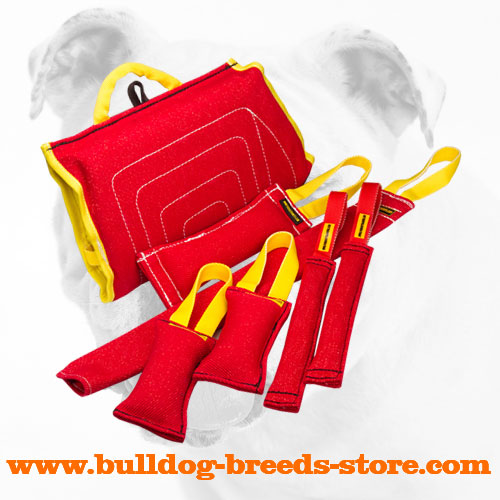 High Quality French Linen Bulldog Set for Training