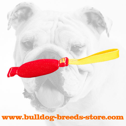 Durable Lightweight French Linen Bulldog Bite Tug with Handle
