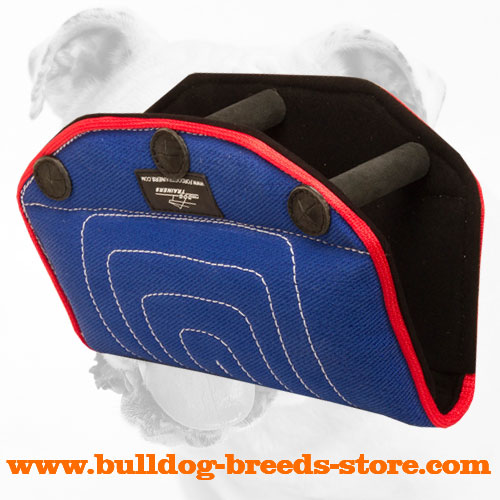 Premium Quality French Linen Bulldog Puppy Bite Builder