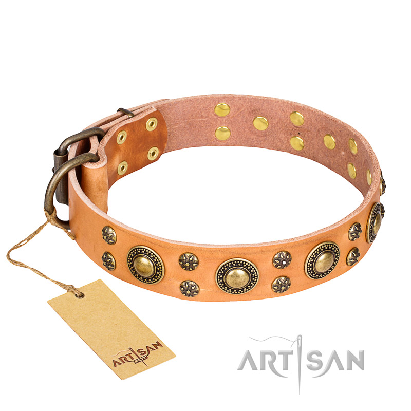 'Sophisticated Glamour' FDT Artisan Tan Leather Bulldog Collar with Stylish Old-Bronze Plated Decorations