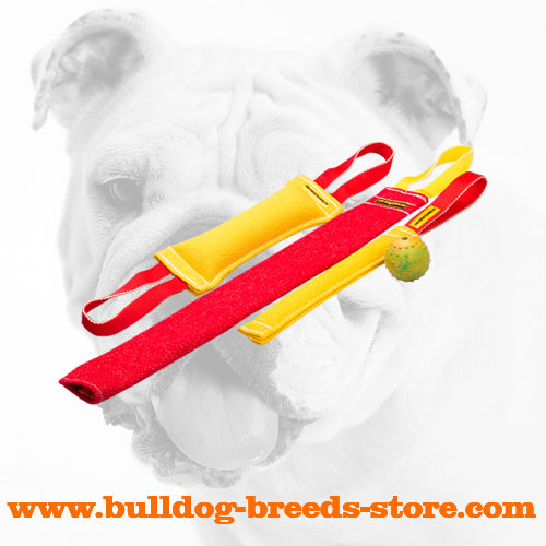 French Linen Puppy Training Set of Bite Tugs