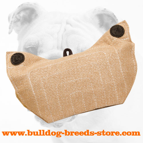 Jute Bulldog Bite Developer for Effective Training